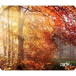 Фото временно отсутствует