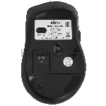 Фото временно отсутствует