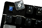 Клавиатура A4Tech Bloody B808N проводная USB черный/серый