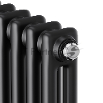Дизайн-радиатор Royal Thermo Insignia C2180 - 06 секц. RAL9005m