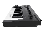 Клавиатура MIDI [25230] Native Instruments [KOMPLETE KONTROL A25] 25 клавиш, полувзвешенная, 8 ручек управления, колеса высоты тона и модуляции, 4-позиционный энкодер, OLED-дисплей, TRS-вход для педали, USB-порт