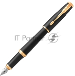 Ручка перьевая Parker Urban Core F309 (CW1931593) Muted Black GT F сталь нержавеющая подар.кор.