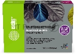 Чернила Cactus CS-BTD60/BT5000SET (3х48 мл и 1х108 мл) голубой/пурпурный/желтый/черный набор 4x252мл для Brother HL-T4000DW, DCP-T510W, DCP-T710W, MFC-T810W, MFC-T910DW, MFC-T4500DW, DCP-T420W, DCP-T520W, DCP-T720DW, DCP-T820DW, MFC-T920DW