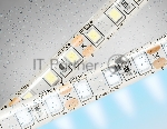 Светодиодная лента Ambrella light GS1203 2835 120Led/ 9.6W m/ 12V IP65 6500K/ 5000*8*2.27mm (2 конт.)