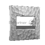 Накладка для двойной розетки Еthernet RJ-45 (серебряный)