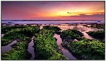 Панель Samsung QB75B черный, 75 ", 3840x1920, 16:9, VA, Tizen 6.5, Ultra HD 4K, 350 кд/м2, 8 мс, 4000:1, 178°/178°, вид 4