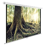 Экран Cactus 220x220см WallExpert CS-PSWE-220x220-WT 1:1 настенно-потолочный рулонный