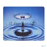 Фото временно отсутствует