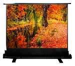 Экран Cactus 150x200см FloorExpert CS-PSFLE-200X150 4:3 напольный рулонный
