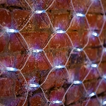 Гирлянда Neon-night "Сеть" 2x3м, белый каучук, 432 LED белые