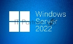 ПО Windows Svr Std 2022 Russian 1pkDSP OEI 4Cr NoMedia/NoKey(POSOnly)AddLic