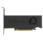 Видеокарта NVIDIA RTX PRO 2000 Blackwell, 16 GB GDDR7, 128 bit, 4xMini DisplayPort, GPU 982 MHz