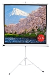 Экран Sakura 180x180 см TriScreen 1:1 напольный рулонный белый100' Matt White (MW), серый корпус
