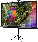 Экран на штативе Lumien Eco View 130x227см (раб.область124х221 см) (100") Matte White 16:9