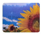 Коврик для мыши Buro BU-M20036 пластиковый, поле подсолнухов, 230х180х2мм