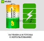 Аккумулятор GP 300DHC D NiMH 3000mAh (2шт), вид 9
