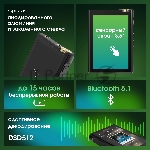 Плеер Hi-Fi Flash Digma Pro XT7 черный/золотистый/3.5"/microSD/microSDHC, вид 15