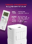 Мобильный кондиционер Royal clima MAGNATE RM-MT22CH-E, вид 13