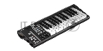 MIDI клавиатура 110105A2033 Icon Artist 25X