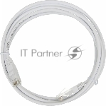 Патч-корд LANMASTER UTP TWT-45-45-2.0-WH вилка RJ-45-вилка RJ-45 cat.5е 2м белый ПВХ (уп.:1шт)