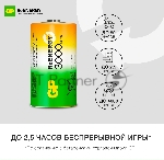 Аккумулятор GP 300DHC D NiMH 3000mAh (2шт), вид 6
