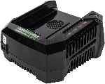 Зарядное устройство Greenworks 291470782В, вид 14