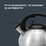Чайник металлический Rondell Sieden RDS-088 3 л, стальной, вид 28