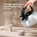 Чайник металлический Rondell Sieden RDS-088 3 л, стальной, вид 27
