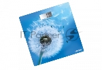 Весы напольные электронные Centek CT-2421 SPRING FLOWER 180кг, 0,1кг, LCD 45x28, размер 26х26см