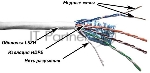 Кабель информационный Lanmaster TWT-5EFTP-LSZH кат.5е F/UTP общий экран 4X2X24AWG LSZH внутренний 305м серый