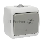 Выключатель проходной EKF Мурманск EFV10-025-30-54 PROxima 1-клавишный 10А IP54 серый