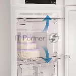 Морозильная камера Indesit DFZ 5175 G серебристый, 250л, 5 ящиков, вид 20