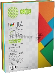 Бумага Cactus CS-CPC-A480200 A4/80г/м2/200л./радуга интенсив (5цветов)