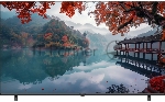 Телевизор Haier 65" DH1ZT0M00RU H1 черный LED 4K UHD 60Hz Smart TV Android 2GB/32GB