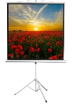 Экран 172x172см Digis Kontur-D DSKD-1104 1:1 напольный рулонный