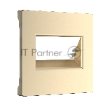 Накладка для двойной розетки Еthernet RJ-45 (шампань)