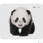 Фото временно отсутствует