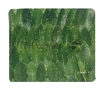 Фото временно отсутствует