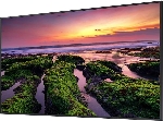 Панель Samsung QB75B черный, 75 ", 3840x1920, 16:9, VA, Tizen 6.5, Ultra HD 4K, 350 кд/м2, 8 мс, 4000:1, 178°/178°, вид 13