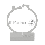 Держатель 2-компонентный. д.25мм 51125 DKC