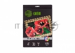 Холст Cactus CS-CA426010 A4/260г/м2/10л. для струйной печати