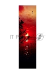 Холодильник ОРСК-178 G glass ZAKAT черный двухкамерный 245/160л морозилка снизу