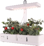 Гидропонная установка Cactus Garden 3л 20Вт белый (CS-LEDPOT-08)