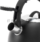 Чайник для плиты металлический Rondell Walzer RDS-1827 2.7 л. черный, вид 13