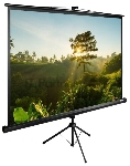 Экран Cactus 200x200см TriExpert CS-PSTE-200х200-BK 1:1 напольный рулонный