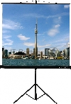 Экран на штативе Lumien Eco View 220x220см (раб.область 214х214 см) Matte White с возможностью настенного крепления 1:1