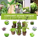 Набор питательных губок Cactus CS-SPONGE-11 для проращивания для CS-LEDPOT-11/SMARTPOT-11 (упак.:11шт) пакет