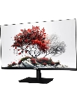 Монитор RDW Computers 23.8" RDW2401K черный IPS 4ms HDMI M/M HAS Piv 350cd 178гр/178гр 1920x1080 100Hz VGA DP FHD USB (RUS)