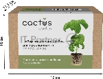 Набор питательных губок Cactus CS-SPONGE-20 для проращивания (упак.:20шт) коробка