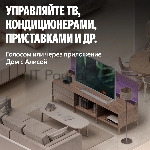 Умный пульт Yandex YNDX-00572 р.д.20м черный, вид 11